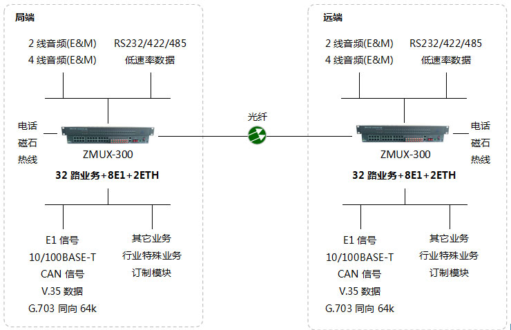 ZMUX-300组网图